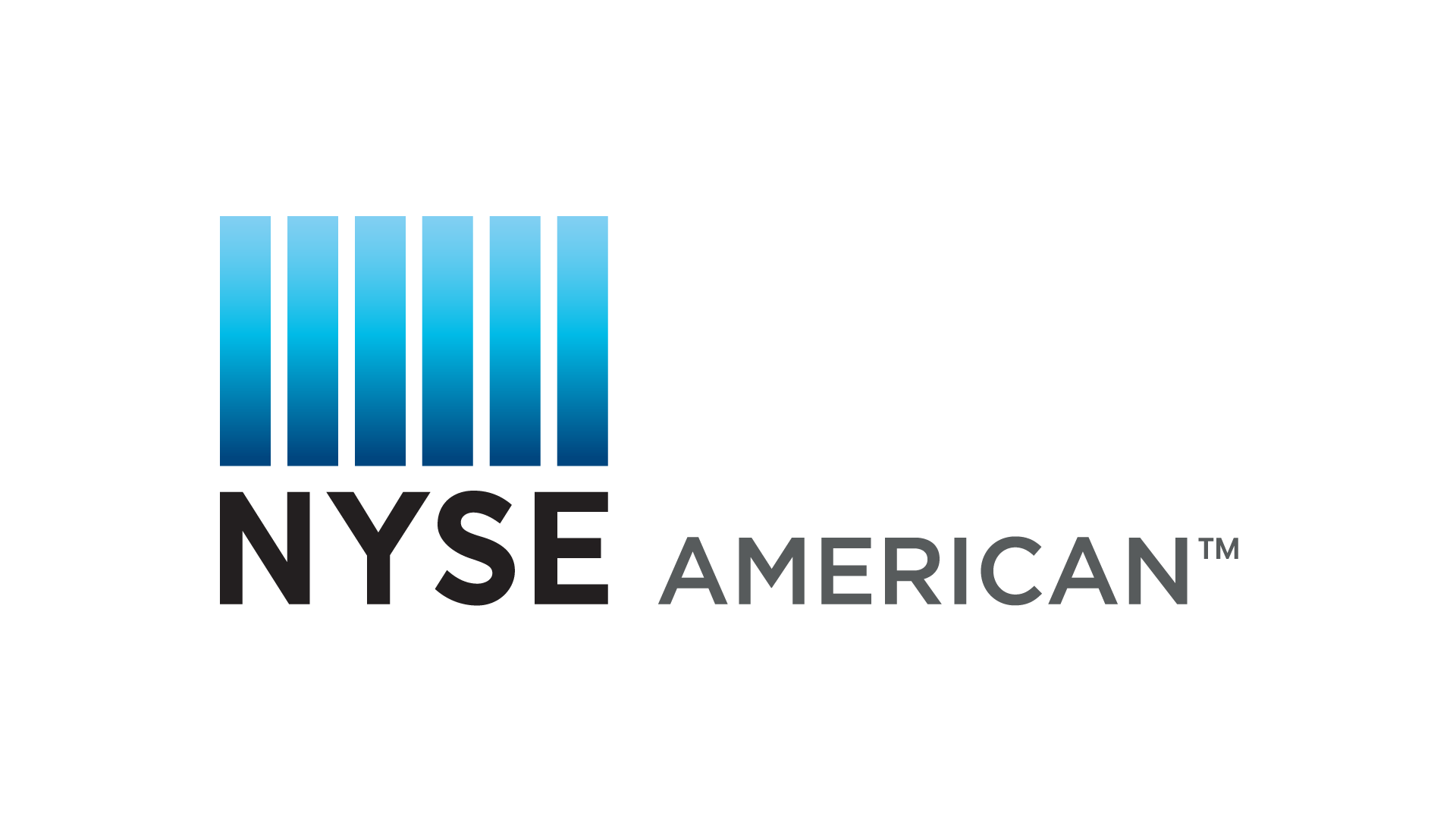 nyse logo